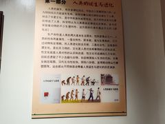 -武汉达临性学生命文化博物馆