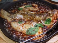 -九毛九西北菜(百信广场店)