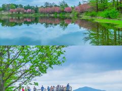 -四明山国家森林公园