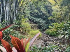 -田心森林公园