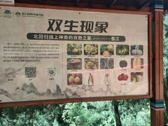 -墨江北回归线标志园