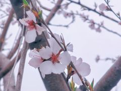 -三里河公园