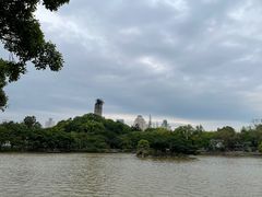 -江心屿景区