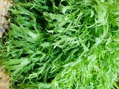 -煎饼卷大葱·非遗传承·潍坊菜(十笏园店)