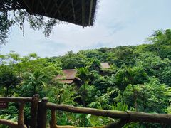 -海南槟榔谷黎苗文化旅游区