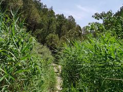 -龙洞风景区-藏龙涧