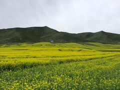 -扁都口生态休闲旅游区