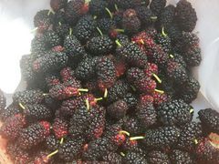 -地利生鲜(甘井子街店)