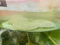 -四海鲜渔家菜(黄金海岸店)