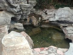 -习家池