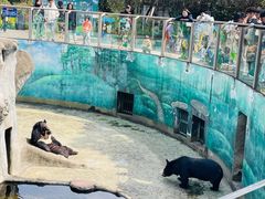 -柳州市动物园