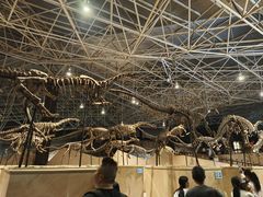 -世界恐龙谷景区