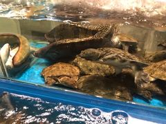 -钱塘宴(东站西子国际店)