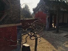 -泰山风景名胜区-普照寺