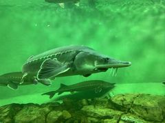 -太平洋海底世界