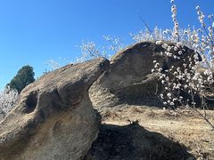 -白水寺森林公园