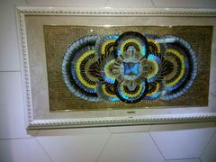 android_upload_pic-上海昆虫博物馆