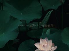 -合肥市图书馆