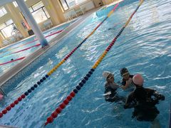 -鲸灵公元游泳中心