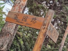 -黑龙江省森林植物园