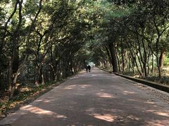 -灵谷景区