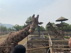 -西安秦岭野生动物园