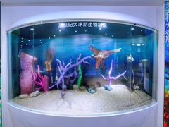 -中国第四纪冰川遗迹陈列馆