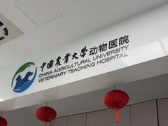 -中国农业大学动物医院