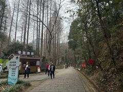-灵栖洞天