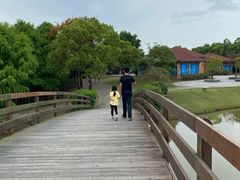 -上海海湾国家森林公园