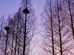 -济南大明湖景区