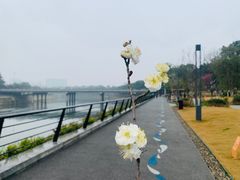 -攀枝花·任德琼·盐边羊肉米线