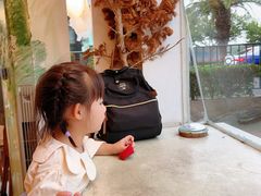 -野草莓自由市场