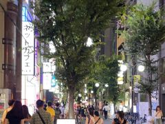 -道顿堀