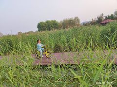 -永定河休闲森林公园