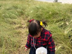 -白鹭湾湿地公园