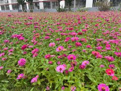 -南京信息职业技术学院-1食堂