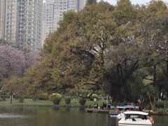 -晓港公园