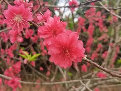 -桤木河湿地公园