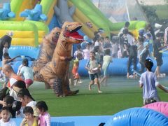 -观澜小洱海