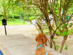 -天宠宠物医院24小时·急重症诊疗中心·全科·腔镜特色(和平分院)