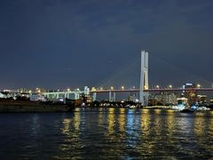 -摆渡站(董家渡站)