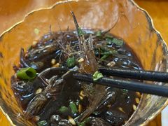 生腌虾-温州一家人美食(西木头市店)