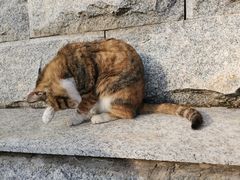 -宝通禅寺