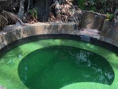 -悦隆庄温泉度假酒店