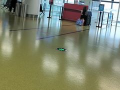 -郑州新郑国际机场-T2航站楼