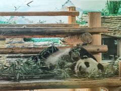 -西霞口神雕山野生动物世界