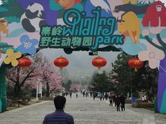 -西安秦岭野生动物园