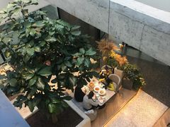 -大树餐厅(红旗街万达店)