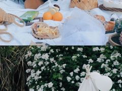 -瑞安圣井山景区